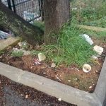 sprice droga stjepana cvijica1