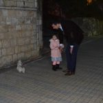 uvala komunalni redari kakica povodac psi pad 160316 5 1