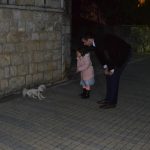uvala komunalni redari kakica povodac psi pad 160316 6