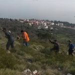 Malastica Uspon 5