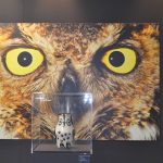 Picasso Keramika Visia 9