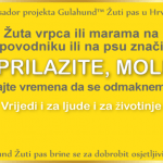 Projekt Zuti pas