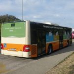cistoca promocija0 1