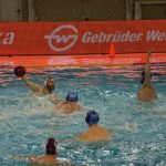 jug primorje 200416 63