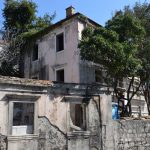 kuca zec pile 020416 3