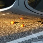 prometna ilijina glavica auto na krov 150416 24
