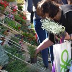 sajam cvijeca 160416 11