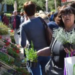 sajam cvijeca 160416 12