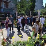 sajam cvijeca 160416 13