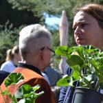 sajam cvijeca 160416 18