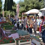 sajam cvijeca 160416 2