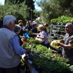 sajam cvijeca 160416 25