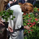 sajam cvijeca 160416 26