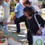 sajam cvijeca 160416 3