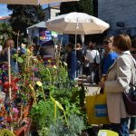 sajam cvijeca 160416 6