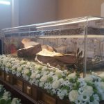 sveti leopold misa zupanija 150416 3