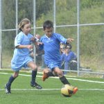 talent kup024