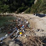 trstenik smece 22