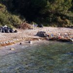 trstenik smece 7