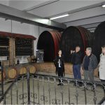 vinsko carstvo peljesac 10
