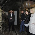 vinsko carstvo peljesac 4