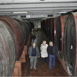 vinsko carstvo peljesac 8