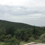 Pozar Cavtat 2016 3