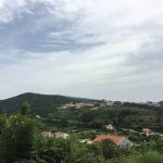 Pozar Cavtat 2016 4