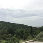 Pozar Cavtat Kanader Mecajac 6