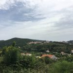 Pozar Cavtat Kanader Mecajac 7