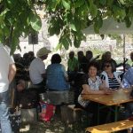 Trnovica 2016 3