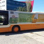 cistoca libertas promo