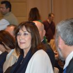 hdz zupanijska skupstina bacic 070516 3