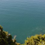 kanalizacija more cvjetanje 2