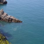 kanalizacija more cvjetanje 5