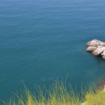 kanalizacija more cvjetanje 7