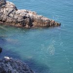 kanalizacija more cvjetanje 8