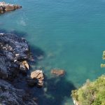 kanalizacija more cvjetanje 9