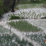 konavle grad tuca 130516 3