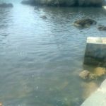 pile fekalije 170516 8