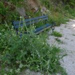 plaza mandrac031