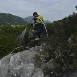 pozar cavtat kanader07