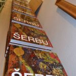 SERBU IZLOZBA 10