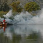 Zaprasivanje Komarci 2