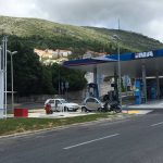 ina pod dubom