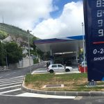 ina pod dubom2