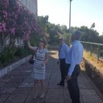 mljet 3