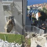 odron krecak399