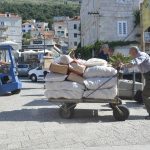 ploce karici23
