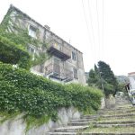 rusevine napustene kuce 240616 4
